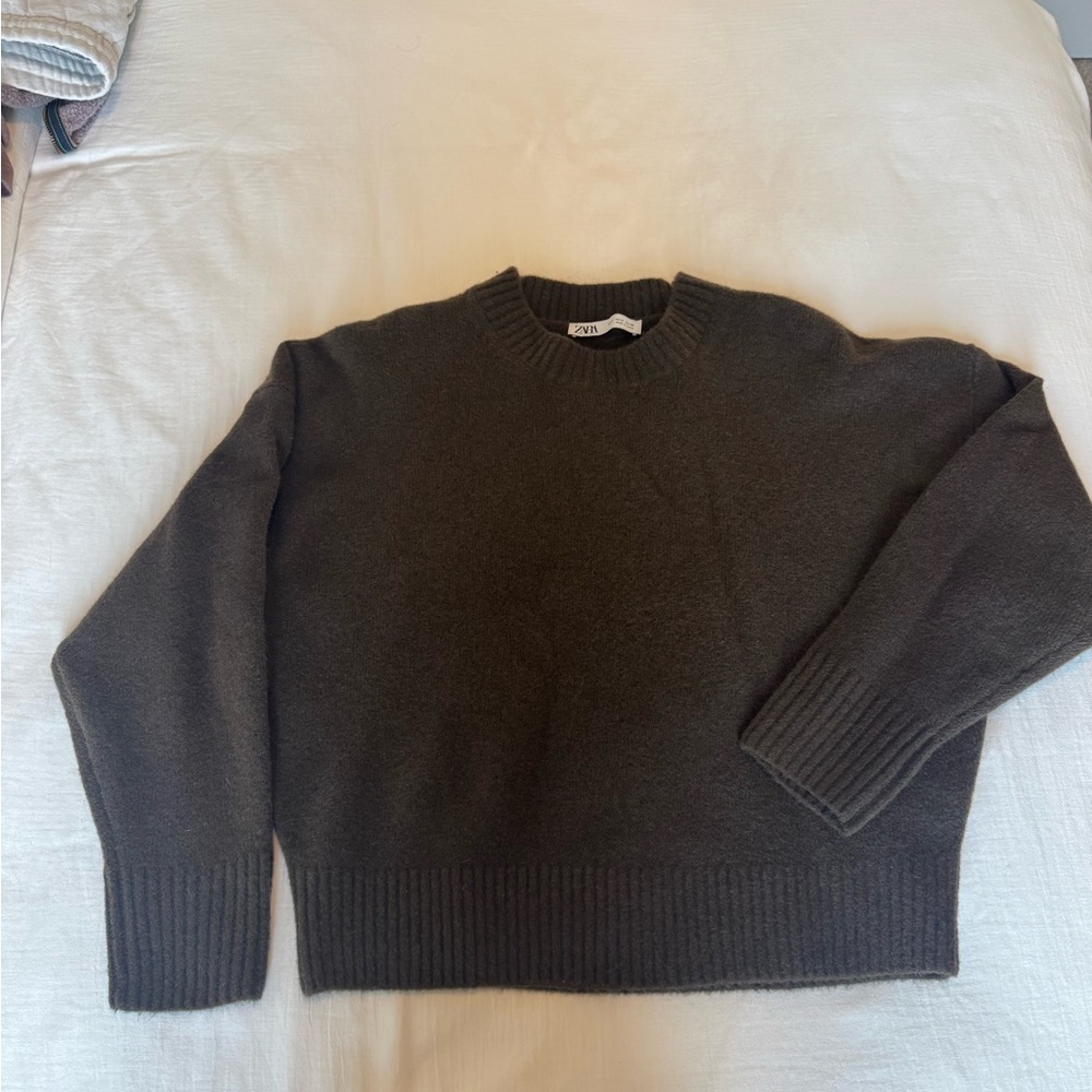 Zara Chocolate Brown Crewneck Sweater